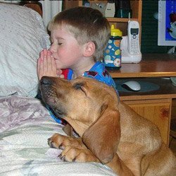 ит пен бала