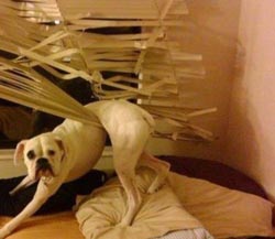 ең үздік фото-апталық-45-фотосурет-21