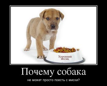 Иттен бас тарту әдісі еденнен