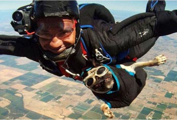 ит парашютпен және иесімен секіреді