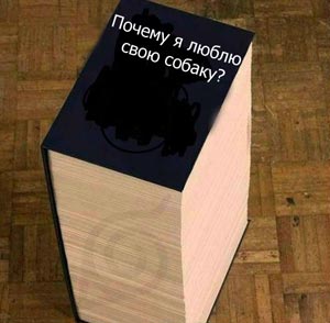 неге итімді жақсы көремін?