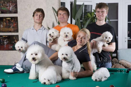 много-бишончиков