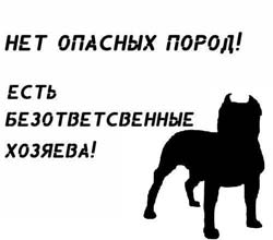 күрес иттерінің суреті