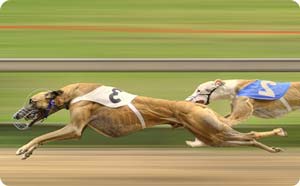 қозғалыстағы сұр түсті