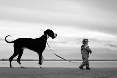 Міне, тәжірибелі жаттықтырушы, ит қылқаламды бастайды :) малыш ведет собаку