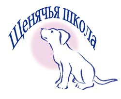 Щеннің қашан және қандай жаста оқытылуы керек