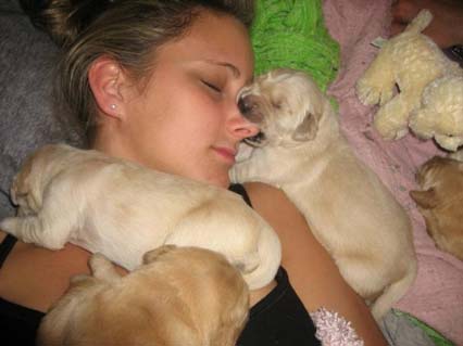 Шұңқыр шағып жатыр