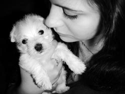 қыз және ит