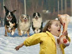 қыз иттерден сүйекпен қашады