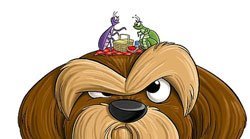 ит кесілген емдеу белгілері