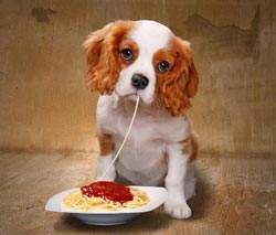 щенок-итмұрын