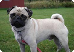 күлкі камераға қарайды